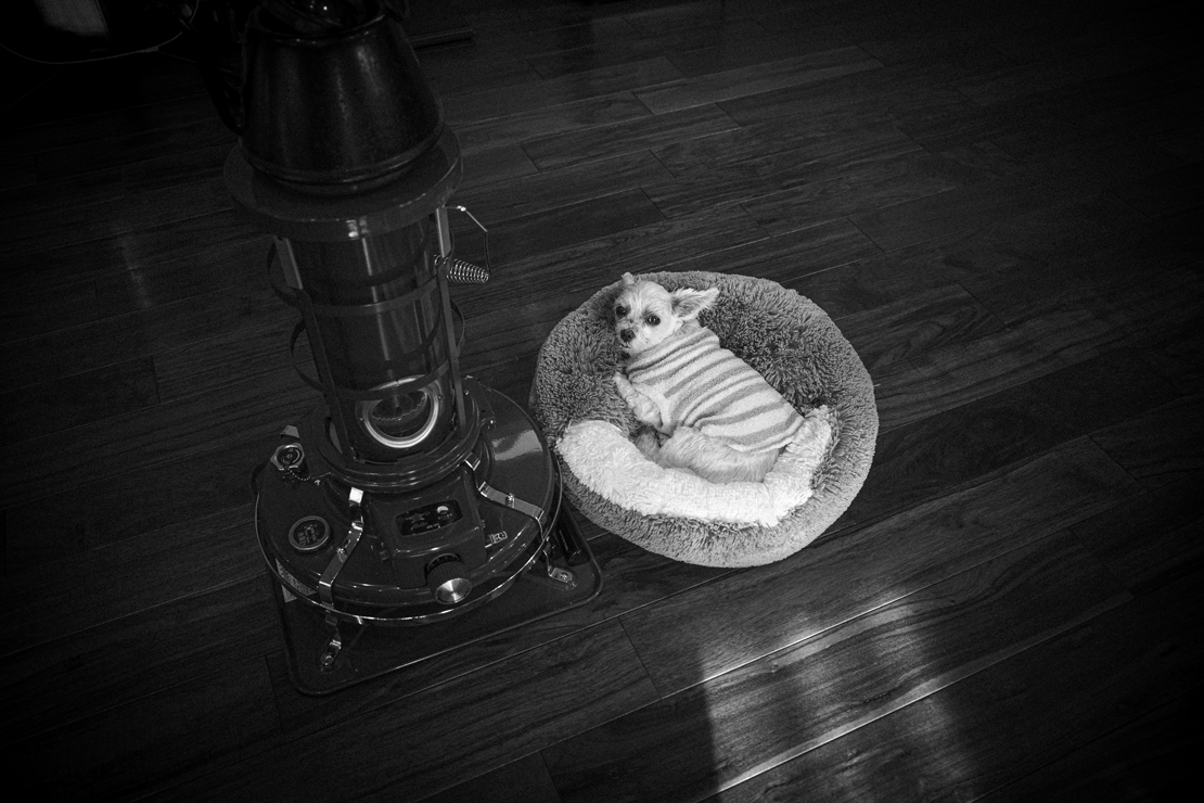 本日をもちまして、2025年の活動を終了いたします。